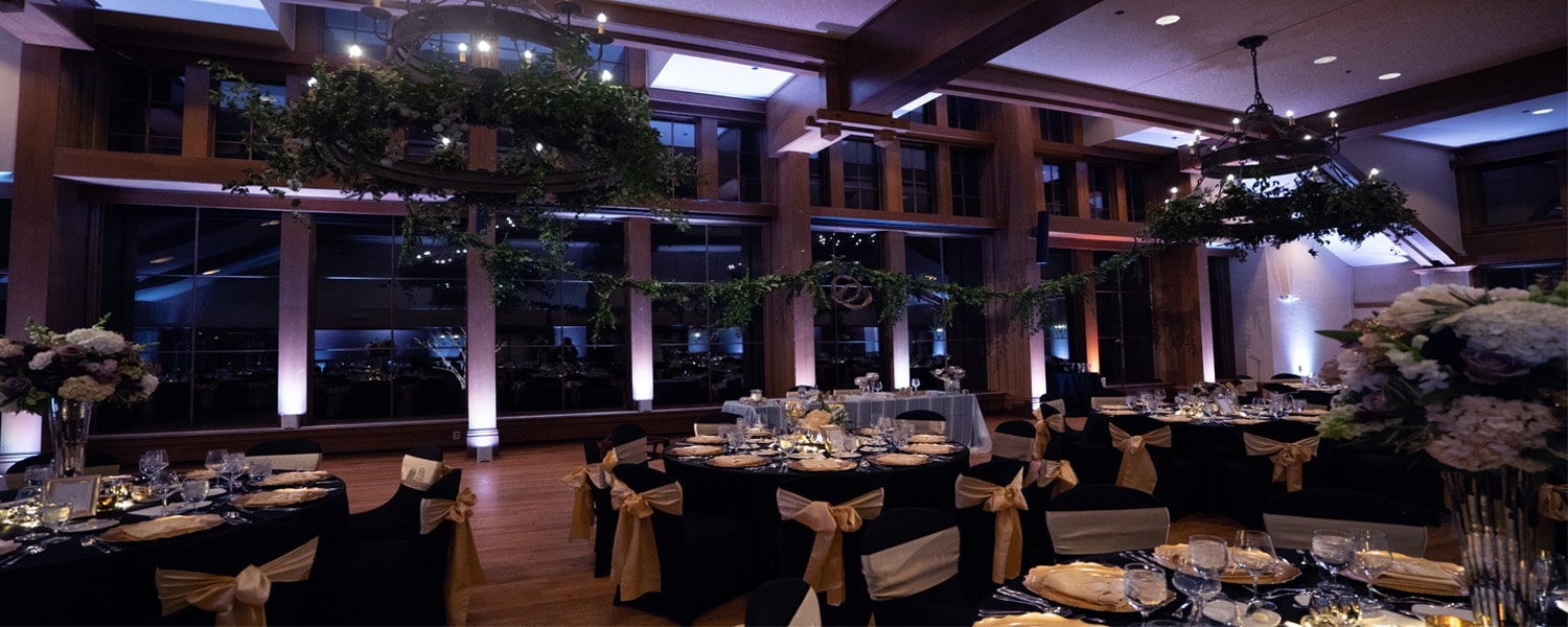 core-App-Control-Battery-Operated-Led-Up-Light