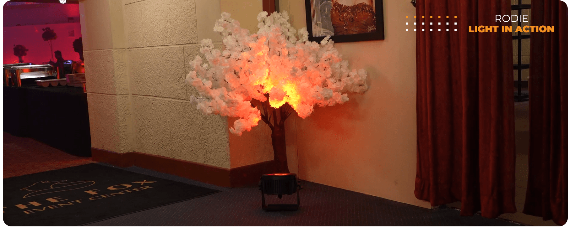 Rodie IP - LED Static UV Wash IP65 Rated